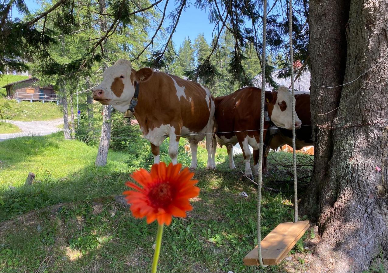 Вілла Gemuetliche Huette In Den Bergen Зонненальпе-Насфельд Екстер'єр фото